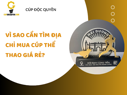 Dia-chi-mua-cup-the-thao-gia-re
