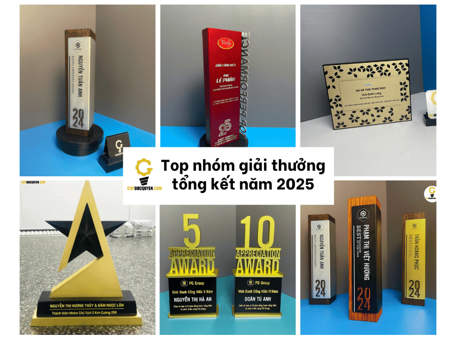 giai-thuong-tong-ket-nam-2025