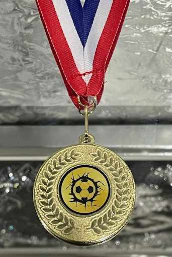 Mau-huy-chuong-bong-da
