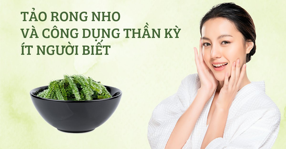 Tảo Rong Nho Và Công Dụng Thần Kỳ Ít Người Biết