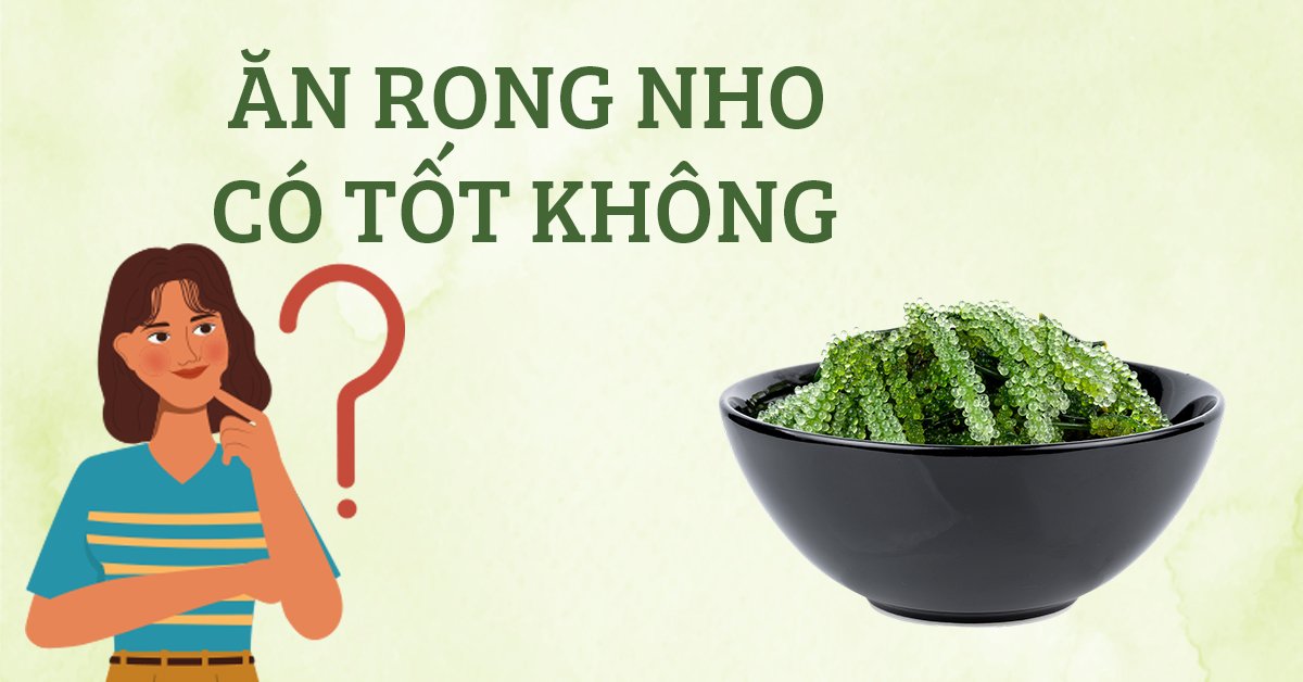 Ăn Rong Nho Có Tốt Không? Dùng Rong Nho Sao Cho Đúng?