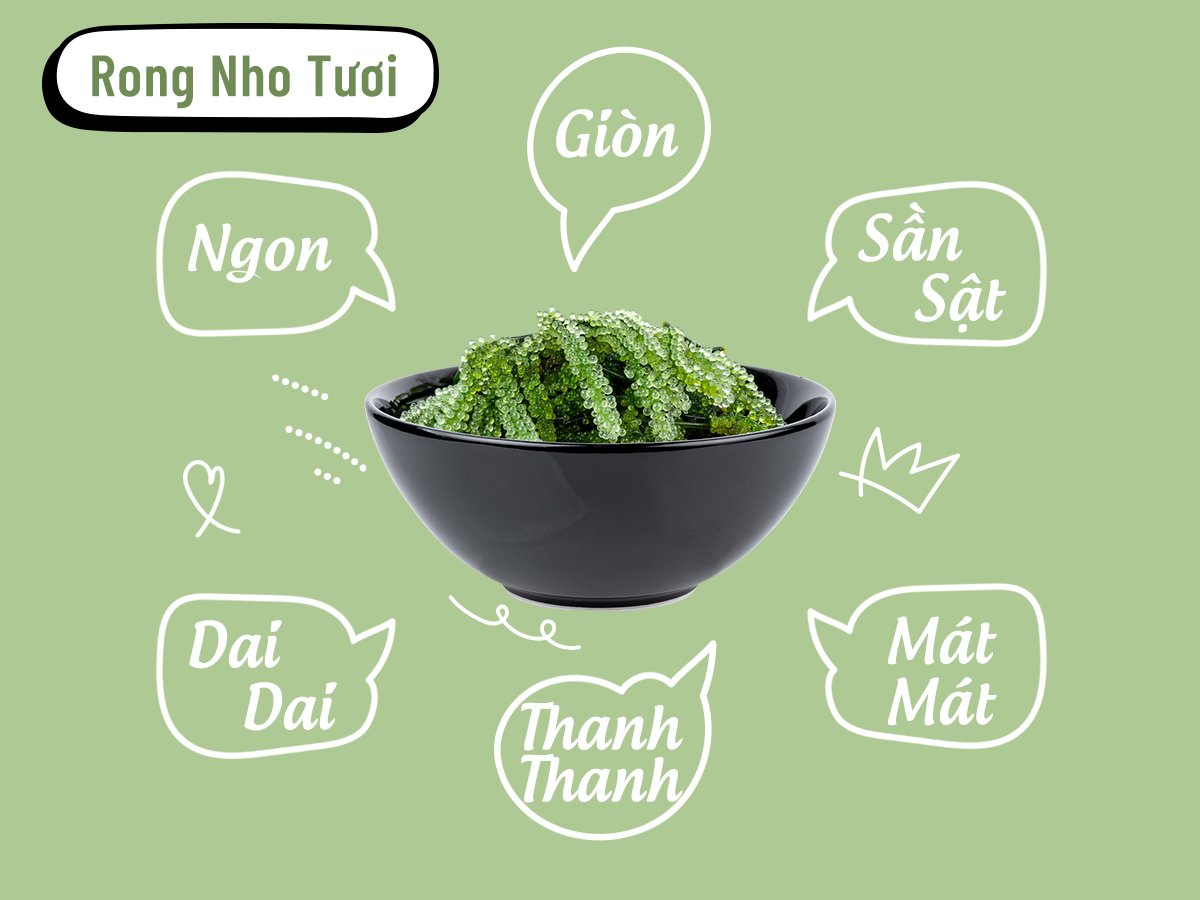 Đặc điểm của rong nho là gì?