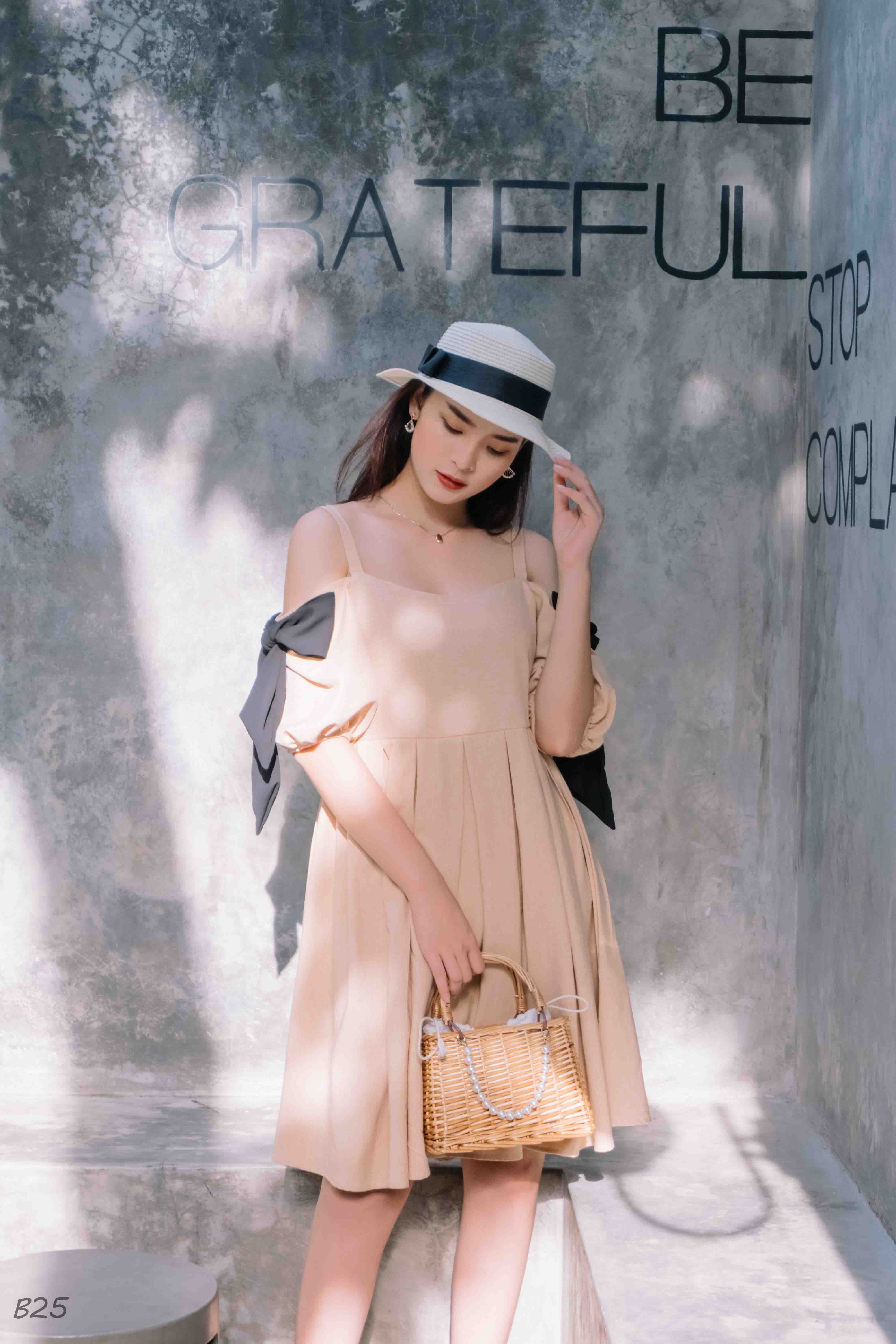 Đầm Thiết Kế Babydoll Hàng Thiết Kế B25-TK8 (Có Size Lớn)
