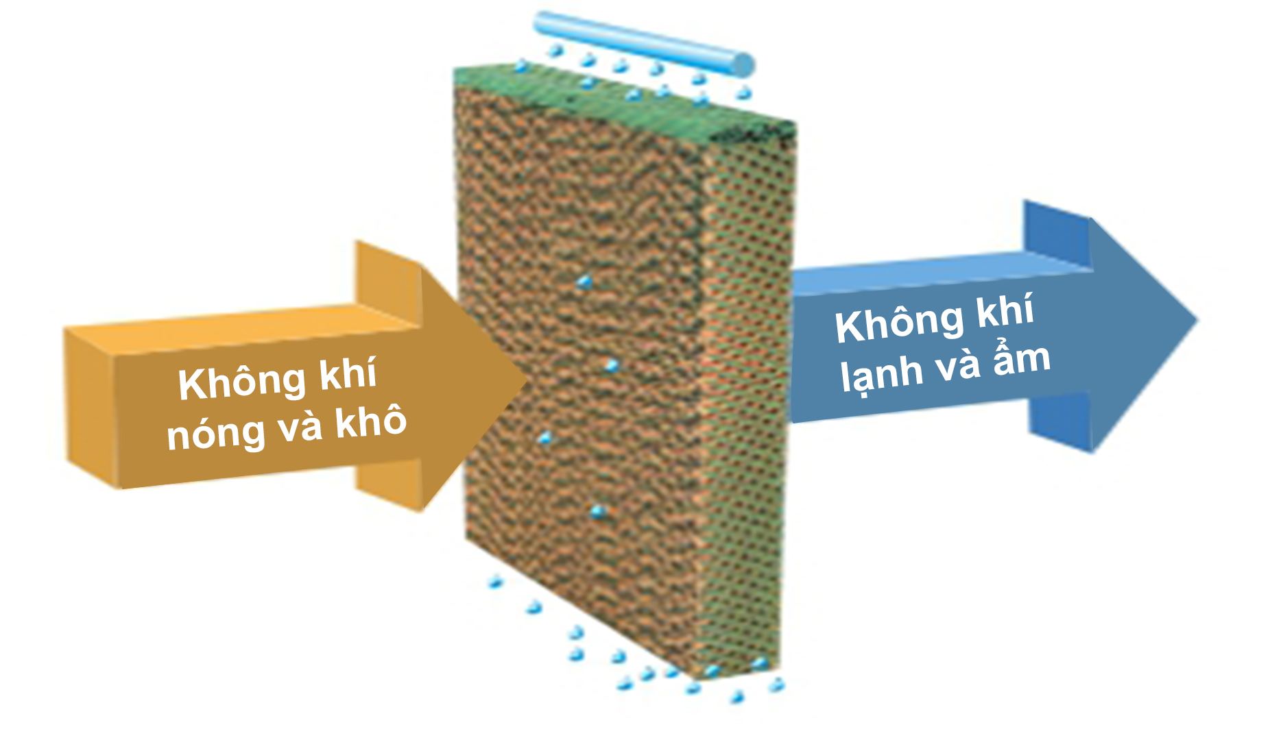 Nguyên lý hoạt động tấm làm mát Celdek Munters