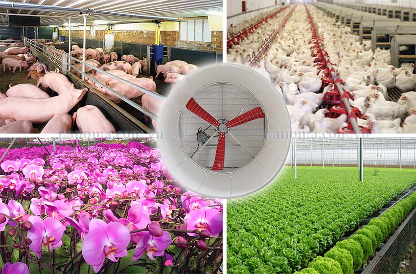 Ứng dụng quạt thông gió Composite hiệu suất cao trong nông nghiệp: Chăn nuôi, trồng trọt