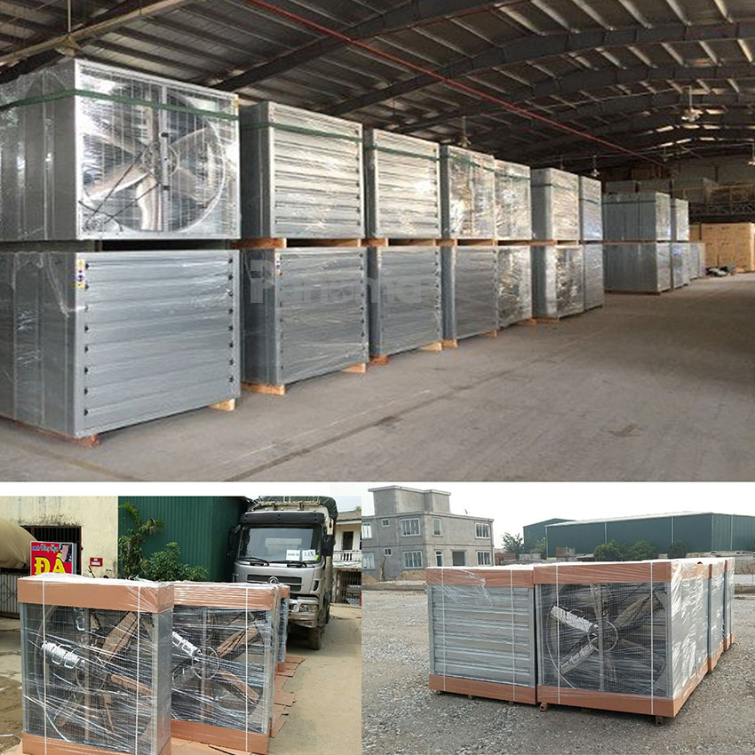 Quạt công nghiệp vuông gián tiếp được đóng hàng cẩn thận trước khi vận chuyển tới khách hàng
