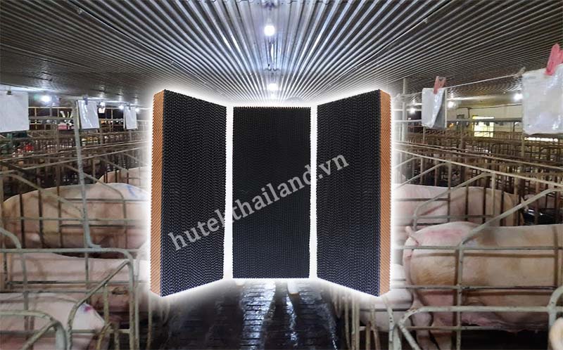 Tấm làm mát Celpad HuTek cho trang trại chăn nuôi
