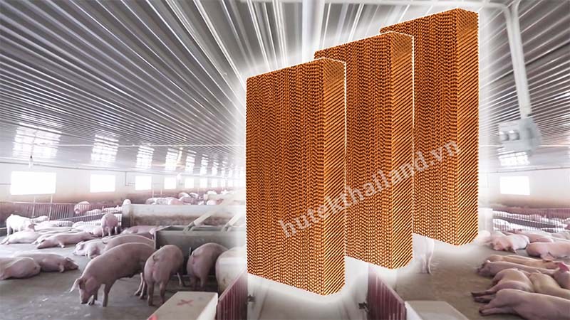 tấm làm mát cooling pad cho trang trại