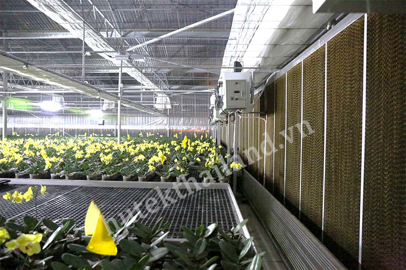 tấm làm mát sử dụng cho vườn lan 2