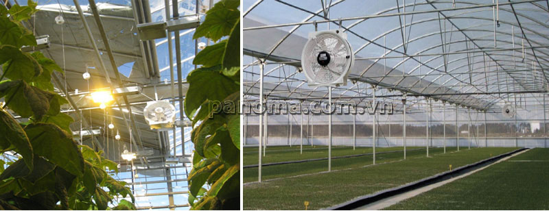 Ứng dụng quạt thông gió tuần hoàn Multifan