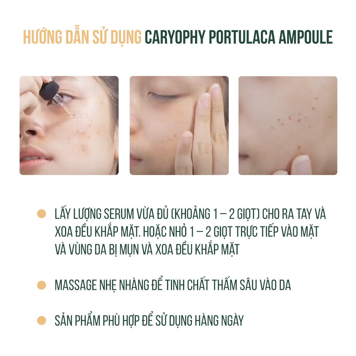 Serum Ngừa Mụn Caryophy Portulaca Ampoule