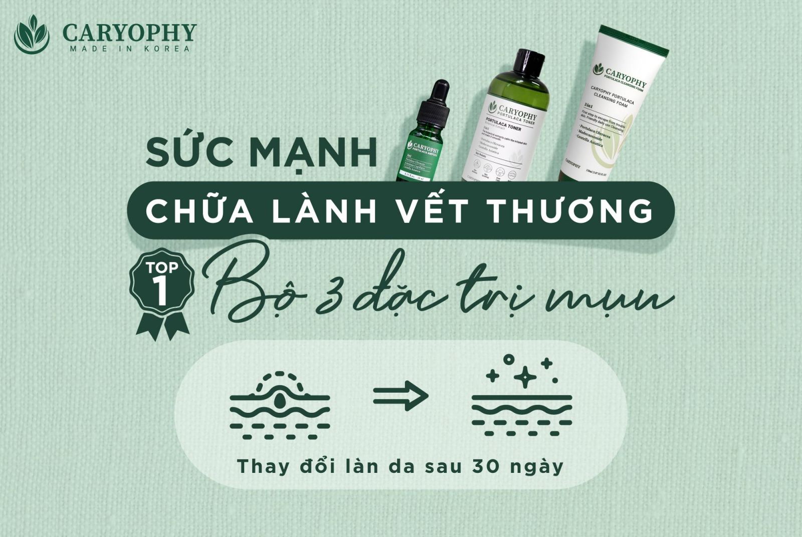 Sữa Rửa Mặt Cho Da Mụn Caryophy Portulaca Cleansing Foam