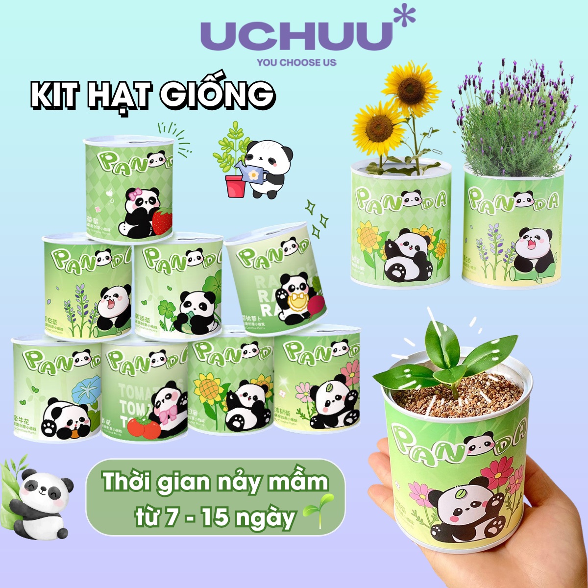 Kit Hạt Giống
