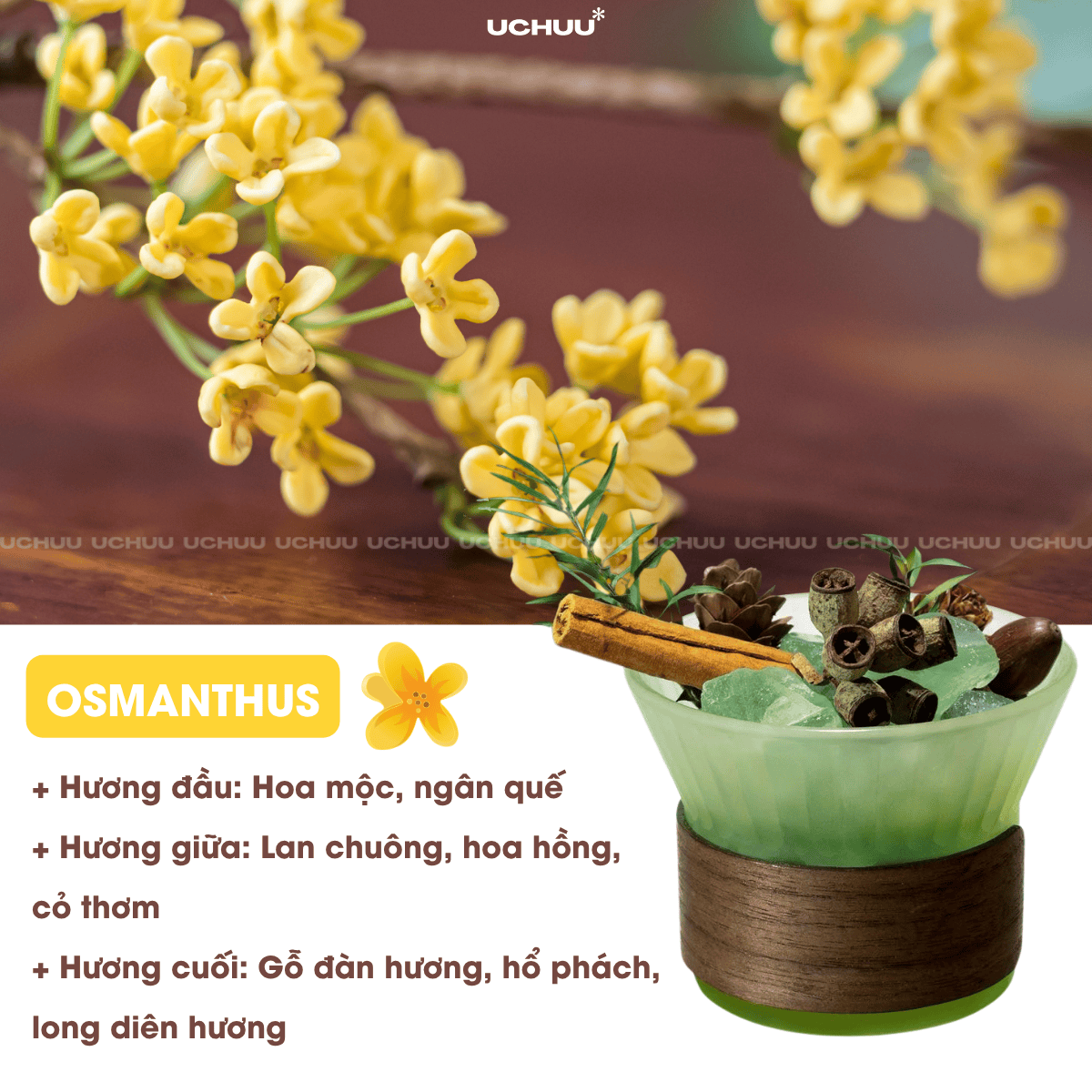 Lọ Khuếch Tán Tinh Dầu