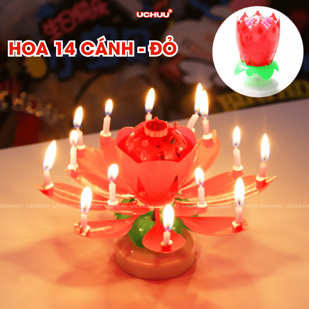 Nến Sinh Nhật Hoa Sen