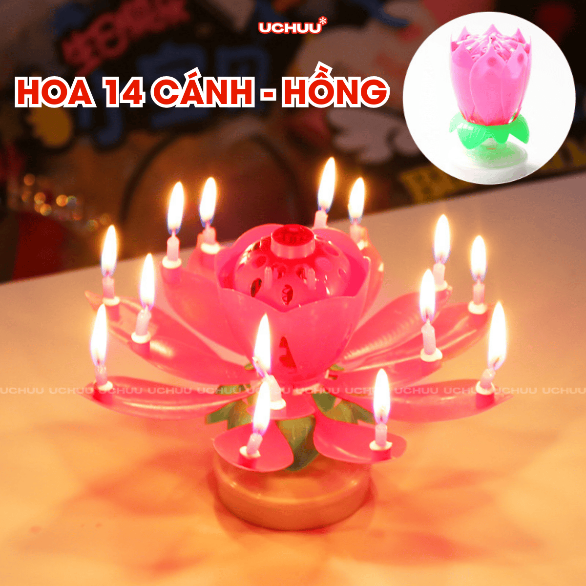 Nến Sinh Nhật Hoa Sen