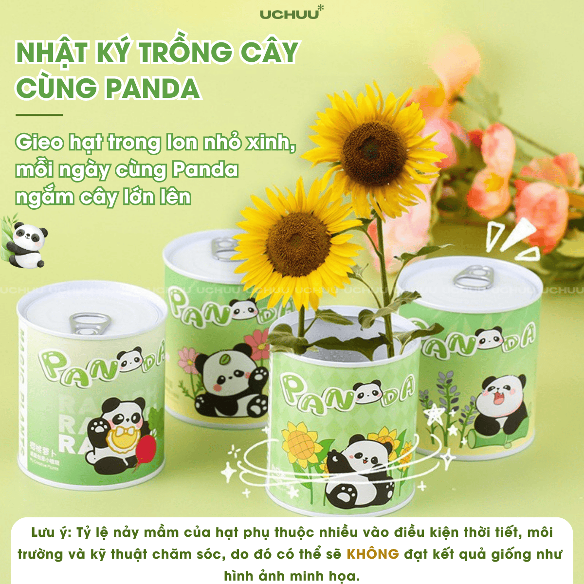 Kit Hạt Giống