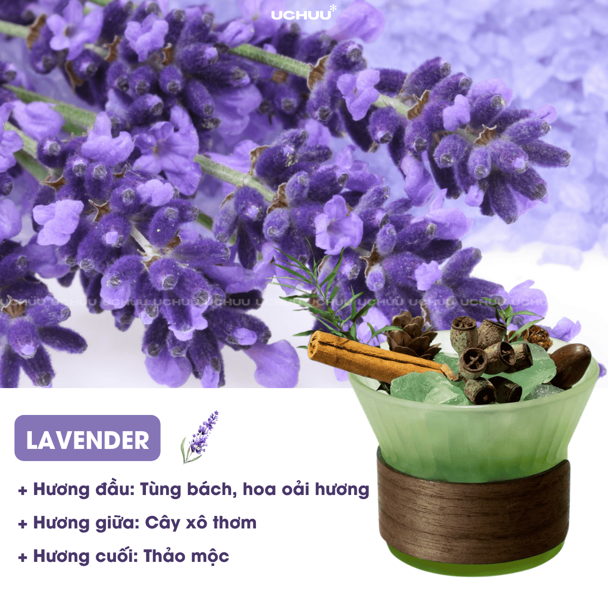 Lọ Khuếch Tán Tinh Dầu