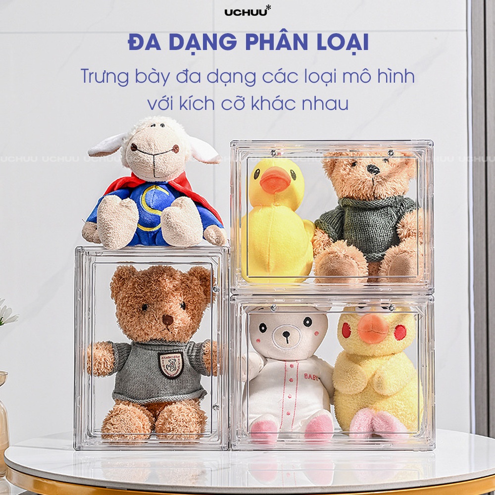 Hộp Trưng Bày Trong Suốt