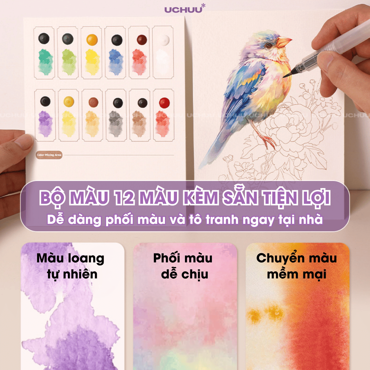 Sổ Vẽ Màu