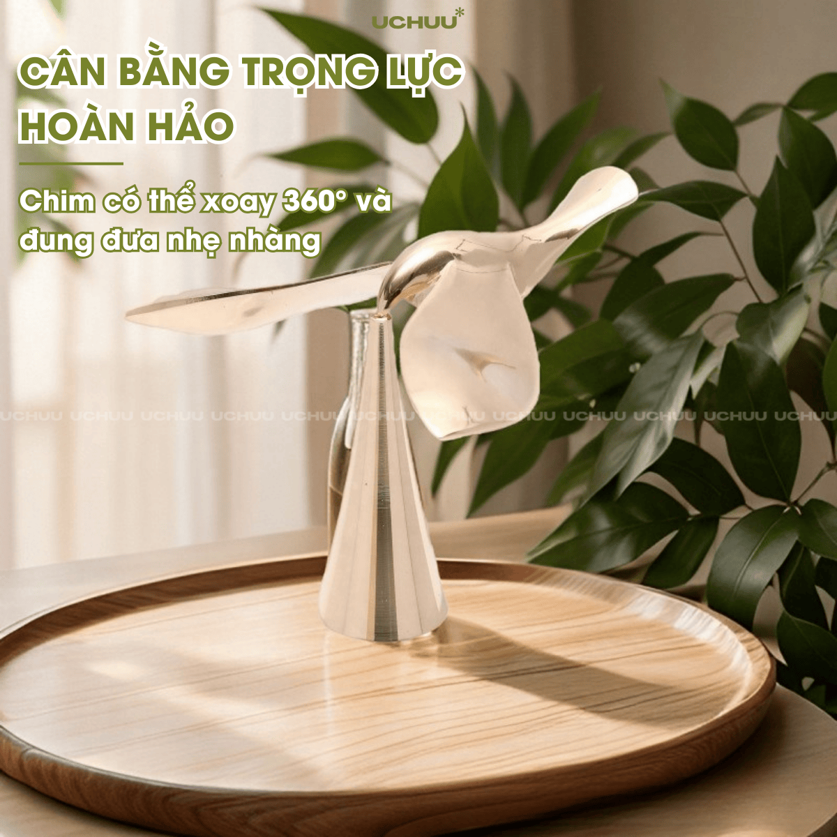 Chim Sắt Mở Nắp