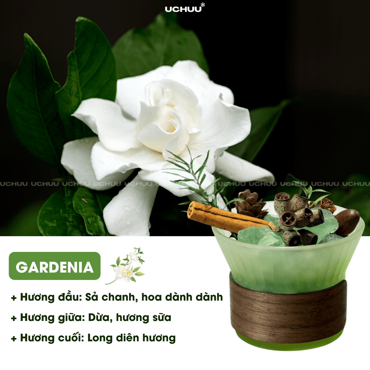 Lọ Khuếch Tán Tinh Dầu