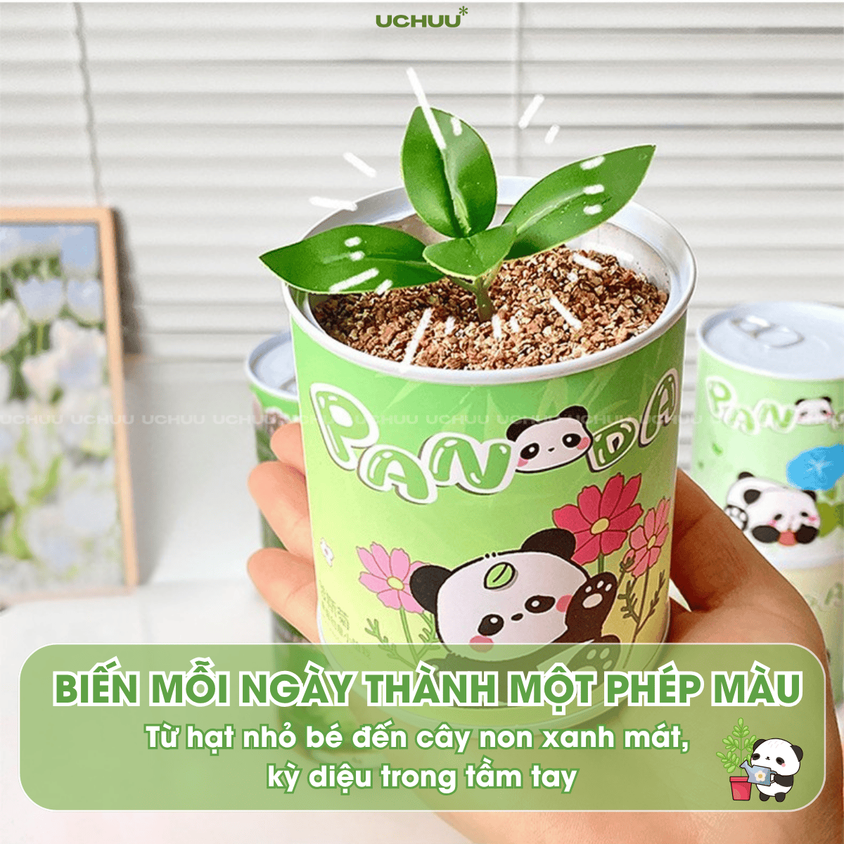 Kit Hạt Giống