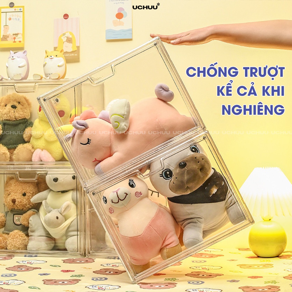 Hộp Trưng Bày Trong Suốt