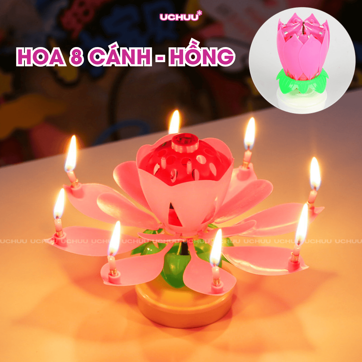 Nến Sinh Nhật Hoa Sen