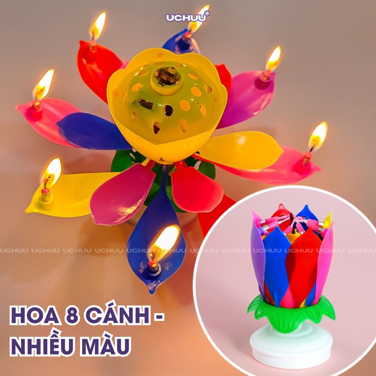 Nến Sinh Nhật Hoa Sen