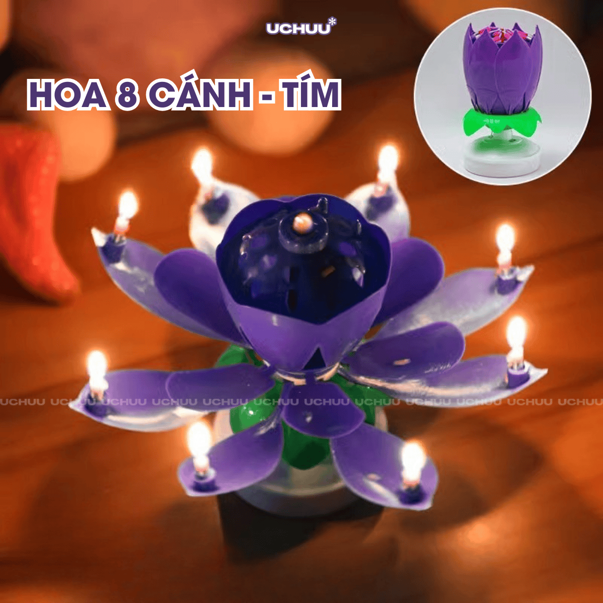 Nến Sinh Nhật Hoa Sen