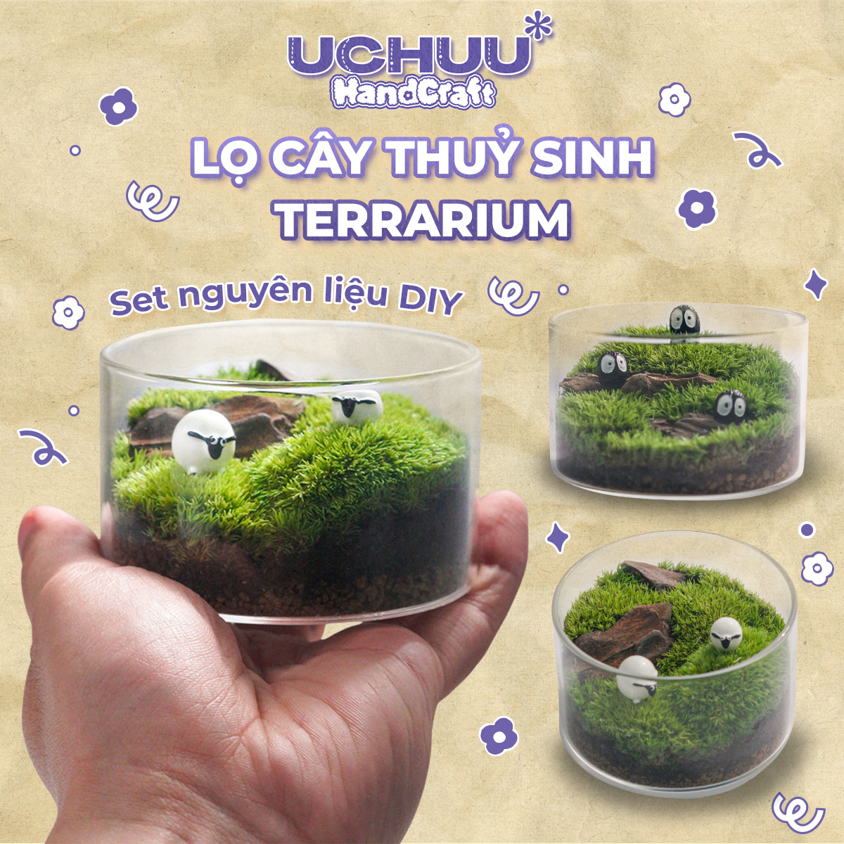 Lọ Cây Thuỷ Sinh Terrarium