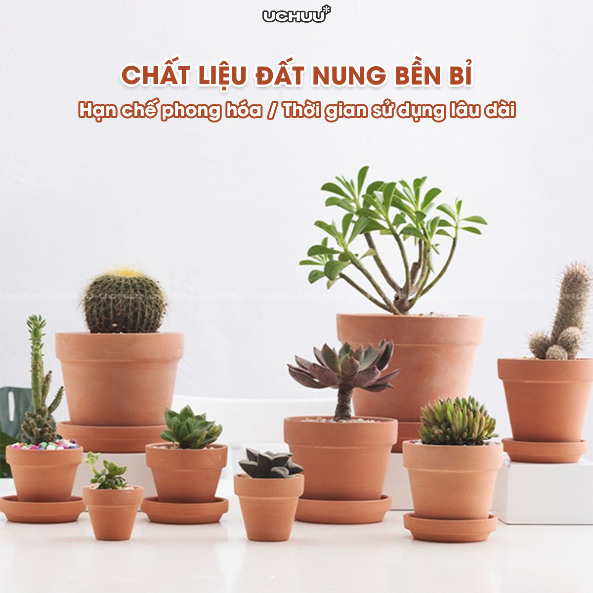 Chậu Đất Nung