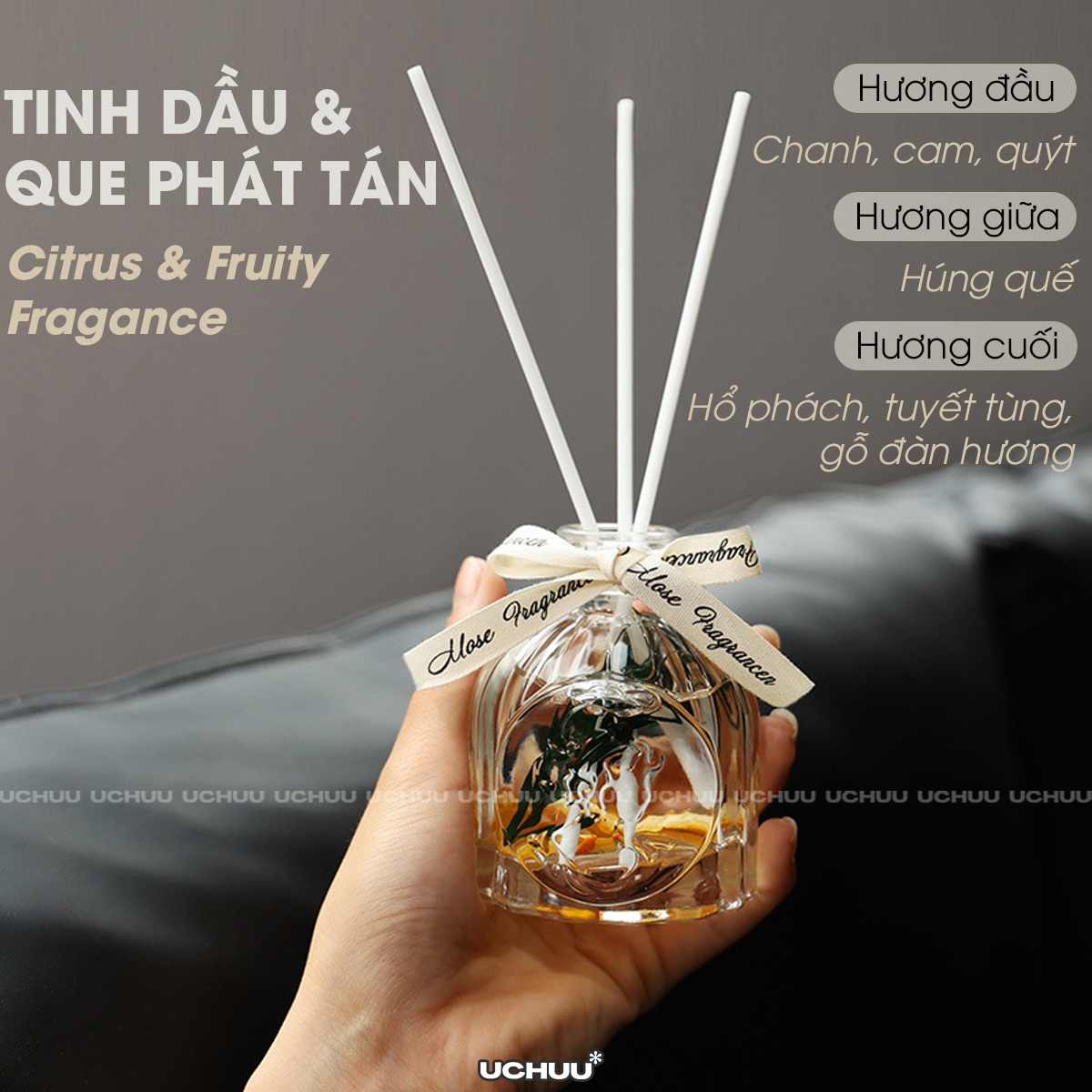 Hộp quà Giáng Sinh