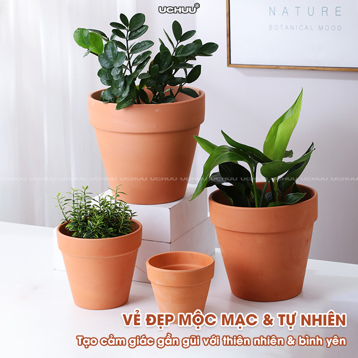 Chậu Đất Nung
