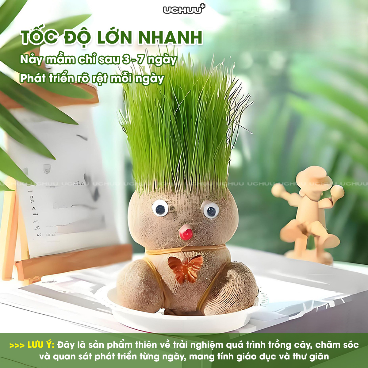 Búp Bê Đầu Cỏ