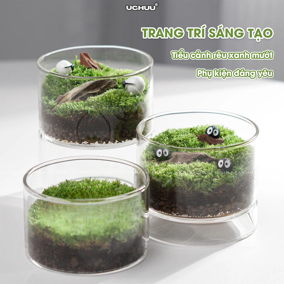 Lọ Cây Thuỷ Sinh Terrarium