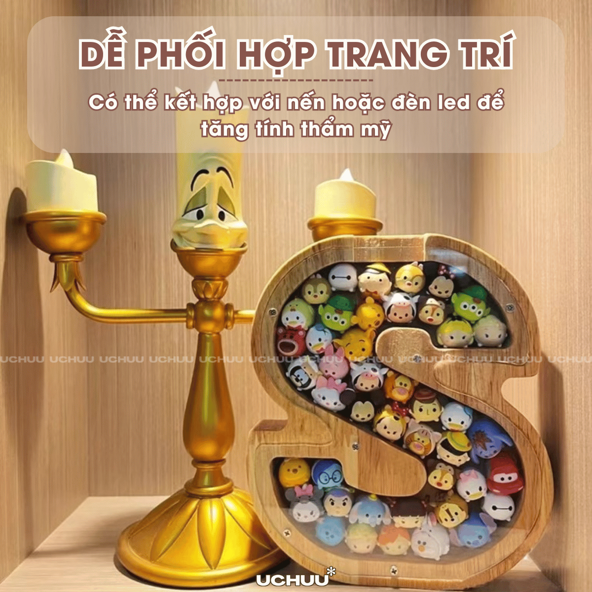 Hộp Chữ Cái Trưng Bày