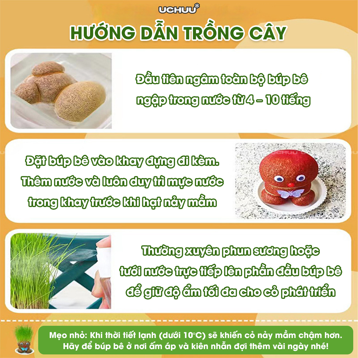 Búp Bê Đầu Cỏ