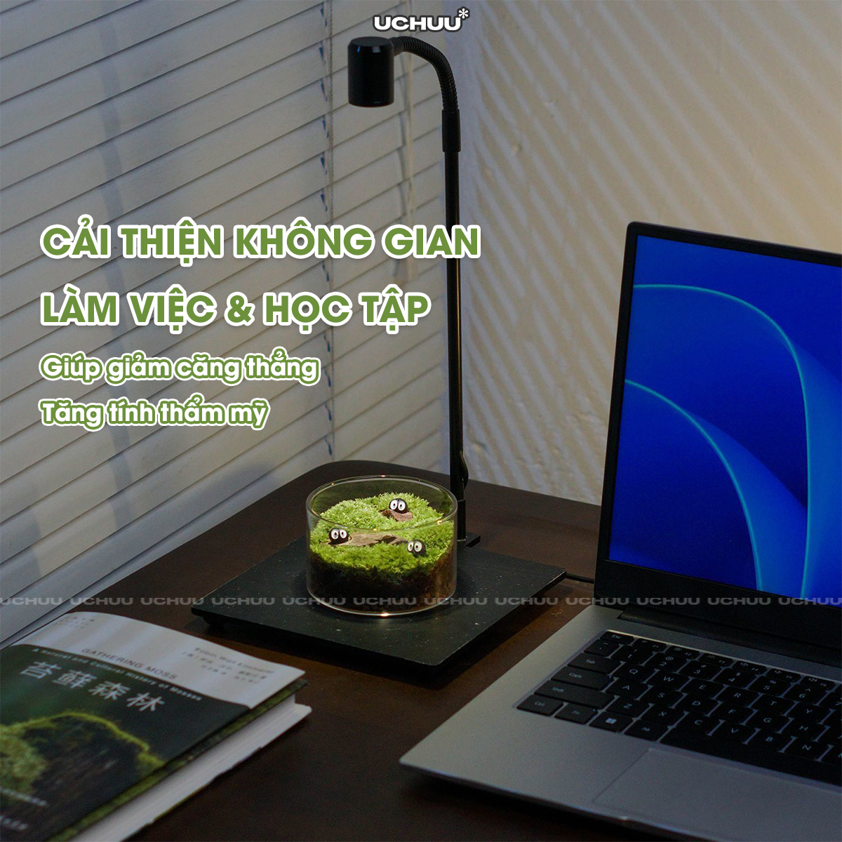 Lọ Cây Thuỷ Sinh Terrarium