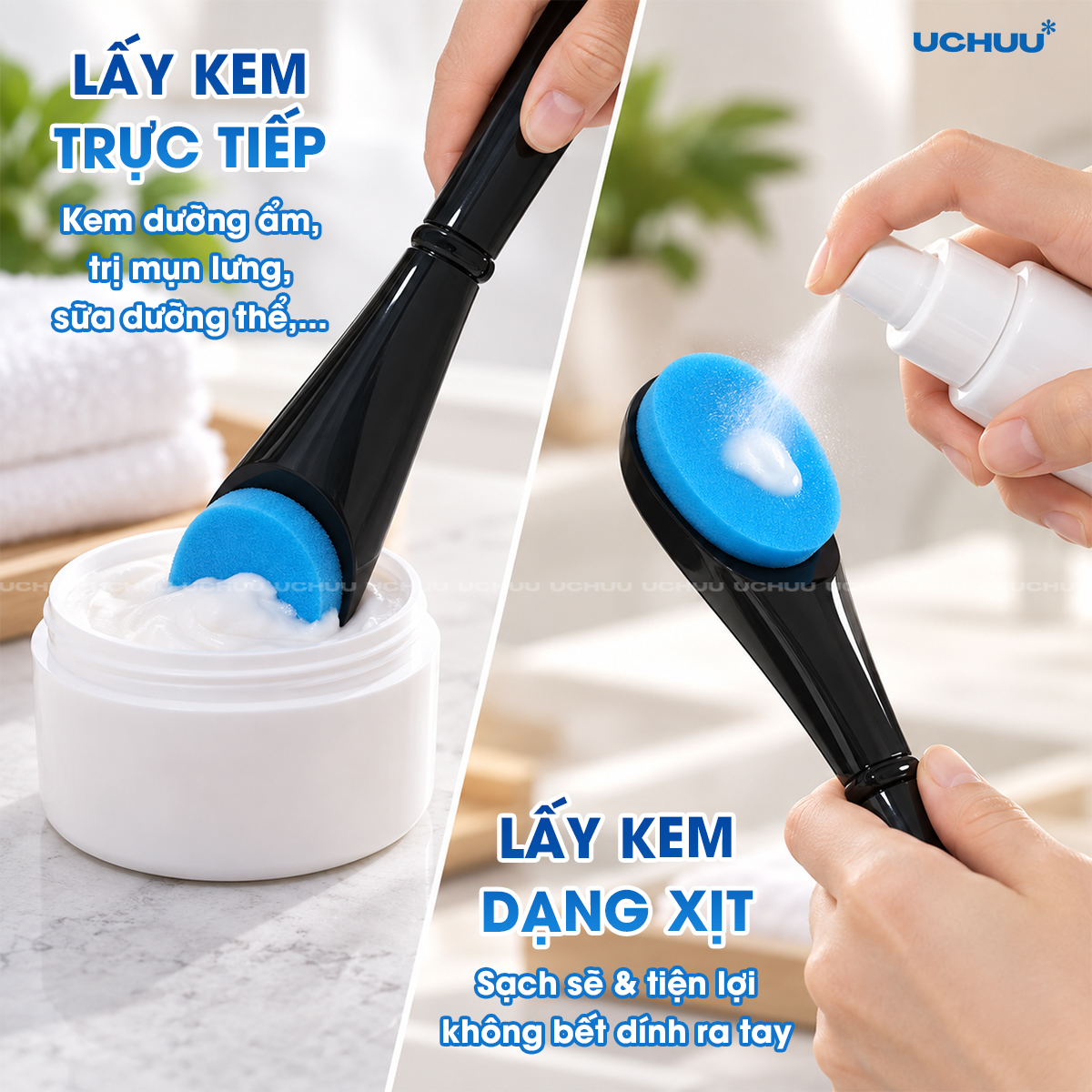 Cây Thoa Kem Lưng