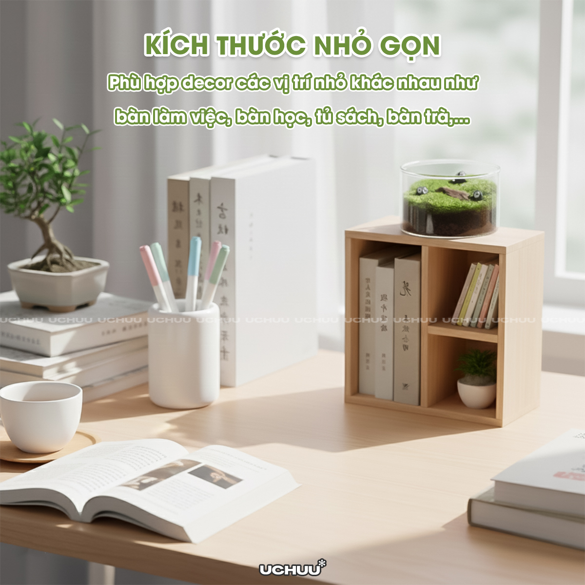 Lọ Cây Thuỷ Sinh Terrarium