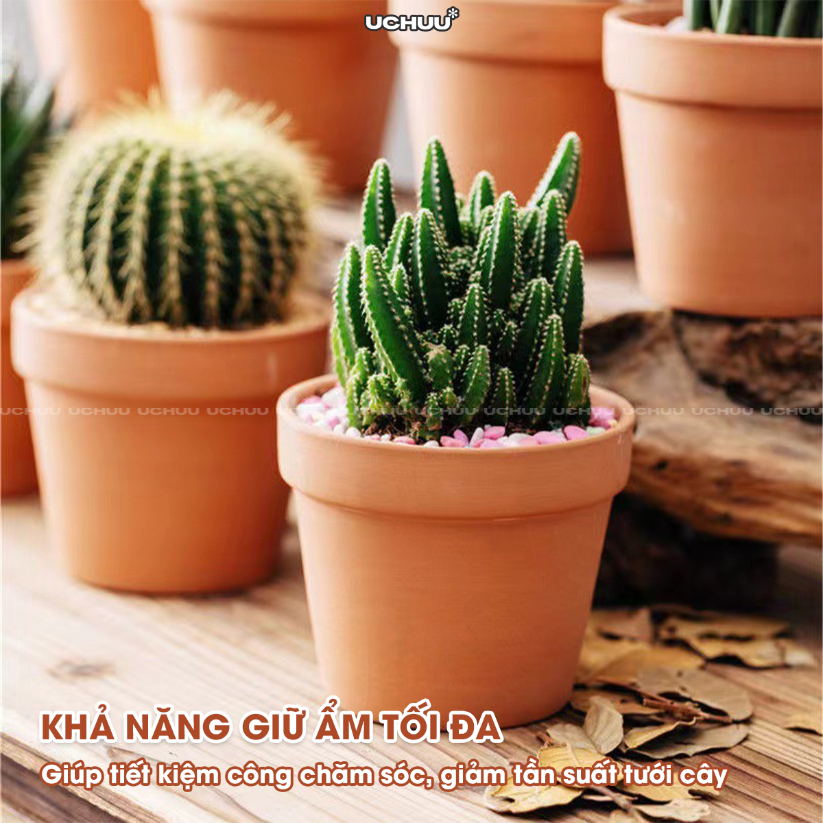 Chậu Đất Nung