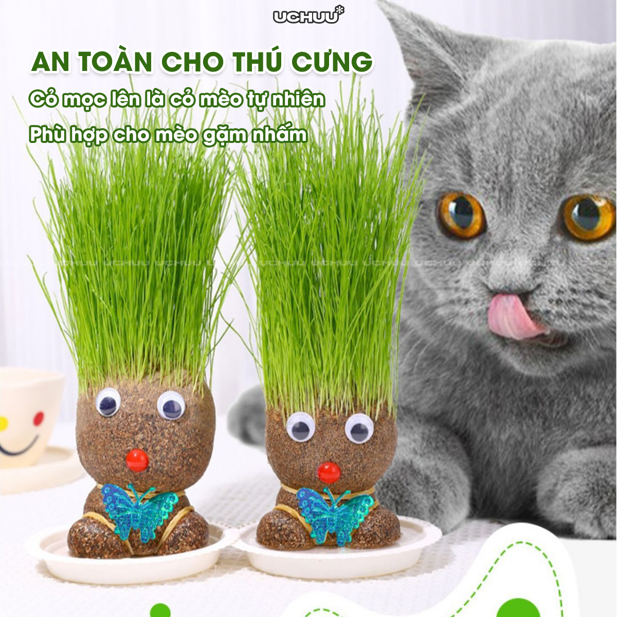 Búp Bê Đầu Cỏ
