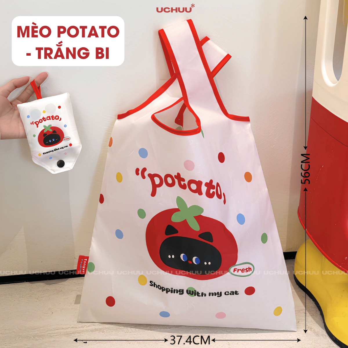 Túi xách gấp gọn