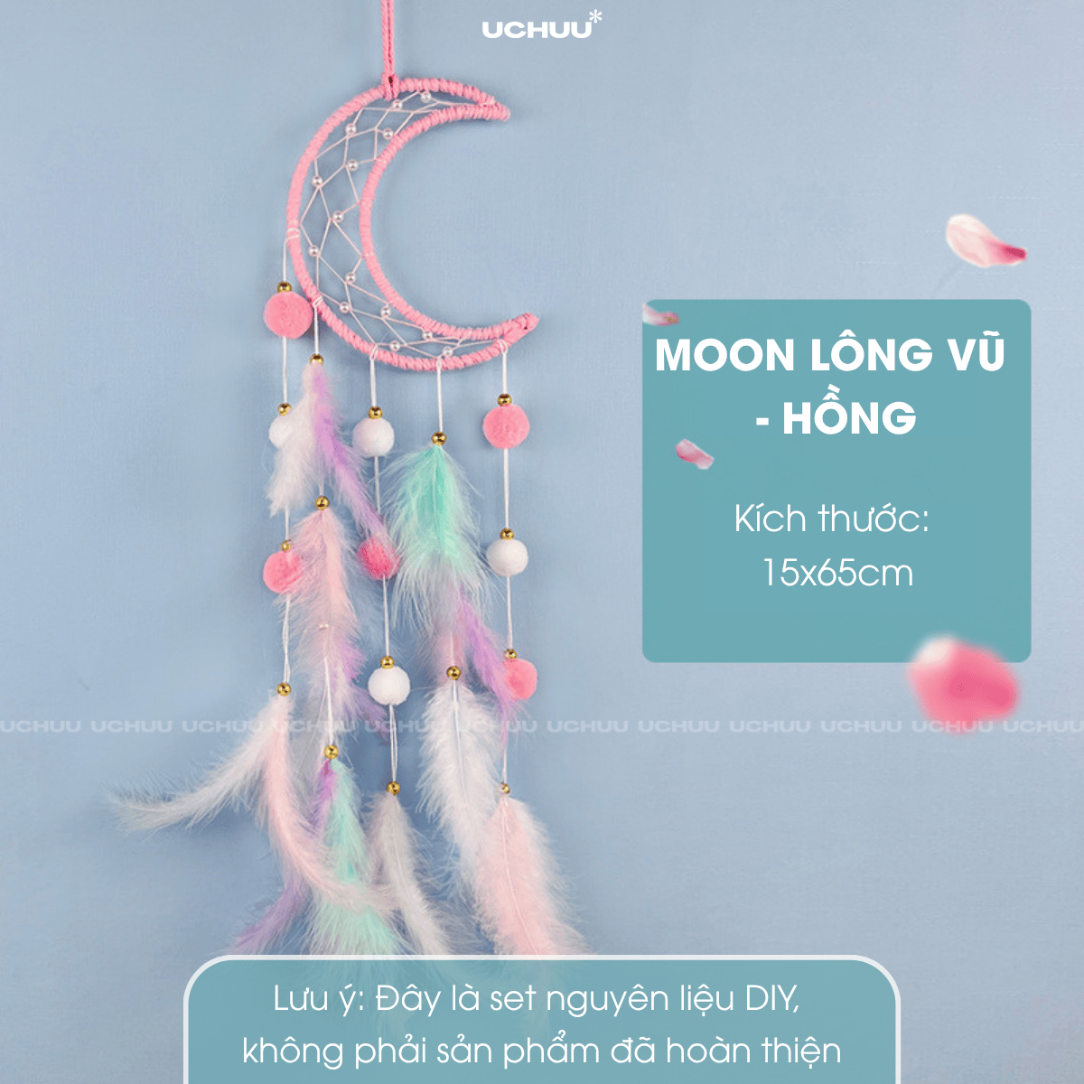 Set DIY Dreamcatcher