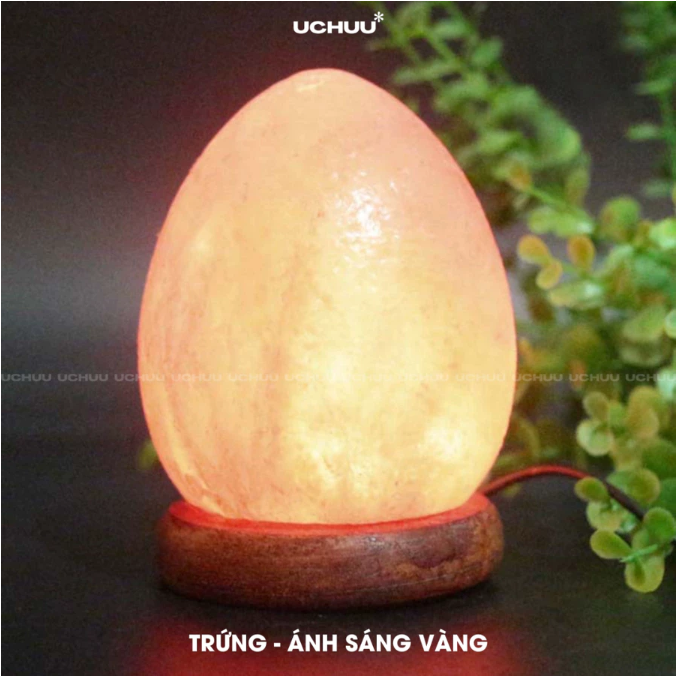 Đèn Đá Muối