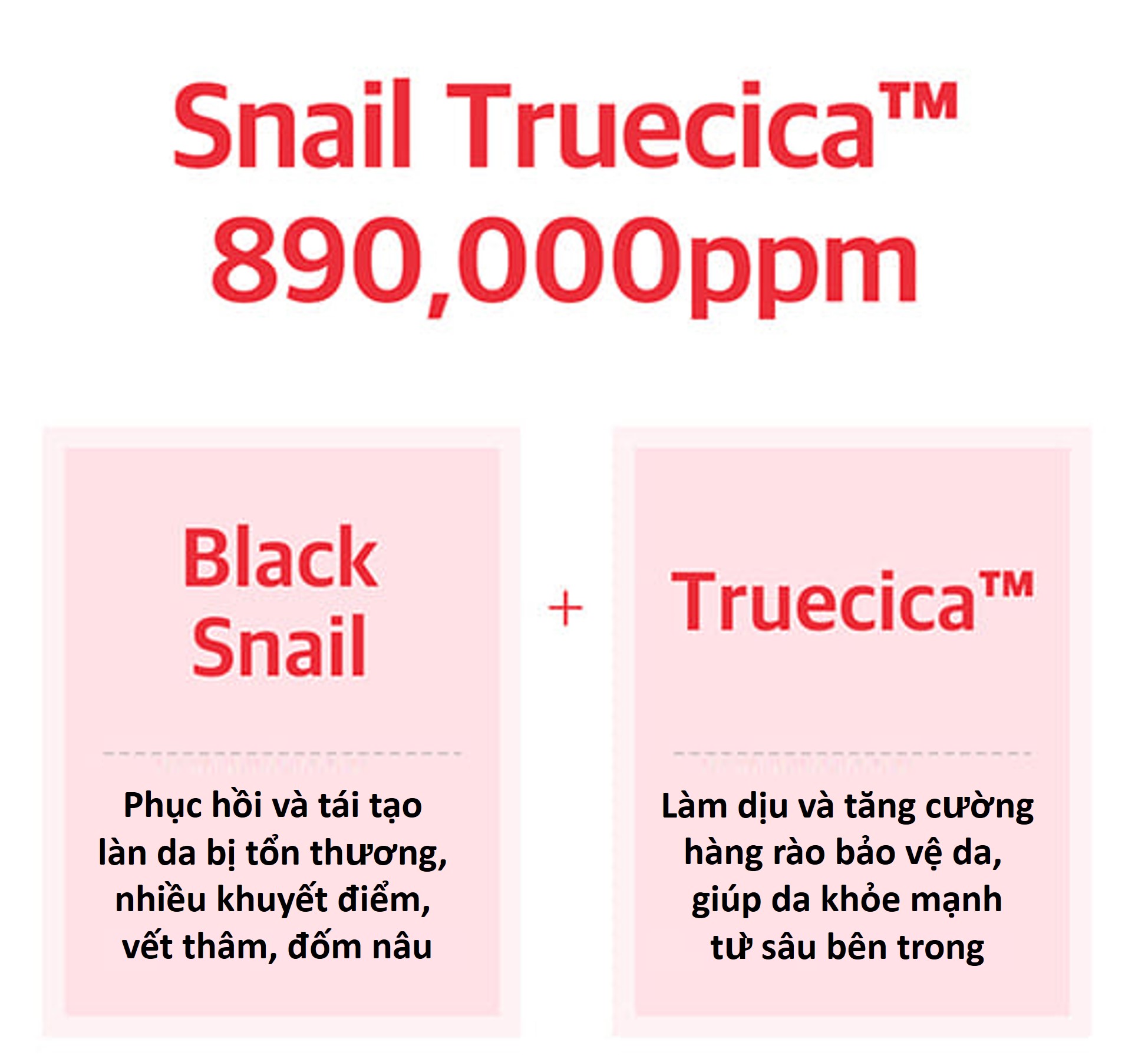 Serum Mini Phục Hồi, Mờ Thâm Some By Mi Snail Truecica Miracle Repair 5ml