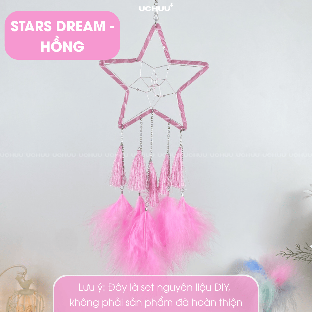 Set DIY Dreamcatcher