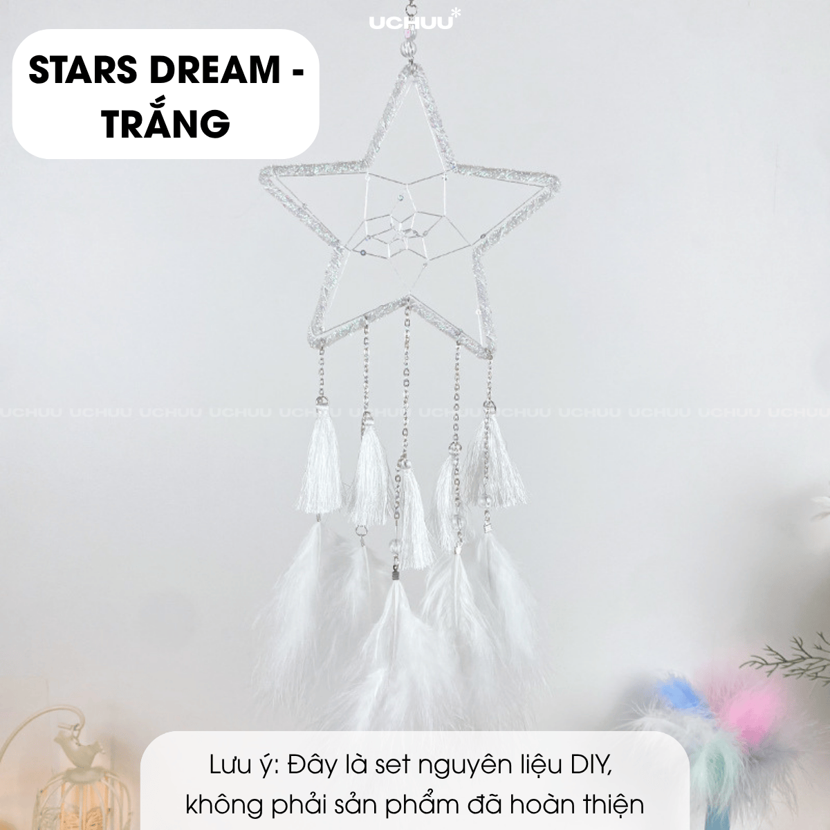 Set DIY Dreamcatcher